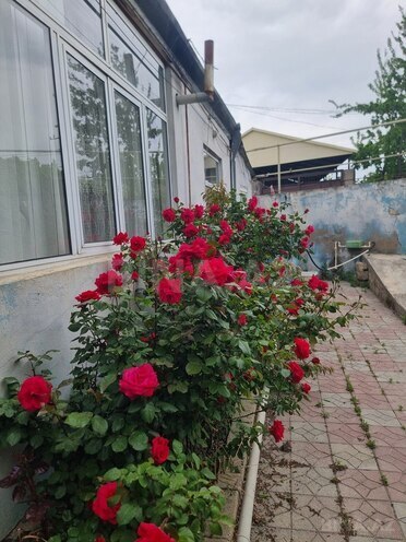 5 otaqlı həyət evi/bağ evi - Yeni Ramana q. - 130 m² (3)