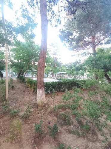 2 otaqlı köhnə tikili - Yasamal r. - 56 m² (4)