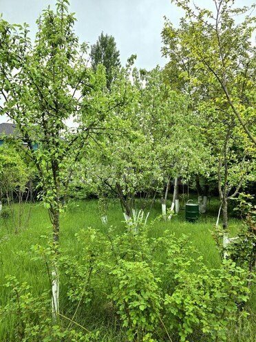 3-комн. дом/дача - Исмаиллы - 100 м² (11)