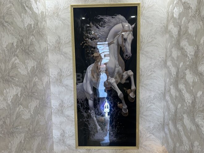 6 otaqlı həyət evi/bağ evi - Biləcəri q. - 210 m² (14)