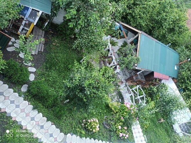 3 otaqlı həyət evi/bağ evi - Qax - 110 m² (5)