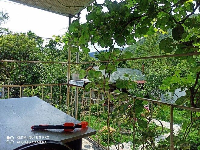 3 otaqlı həyət evi/bağ evi - Qax - 110 m² (7)