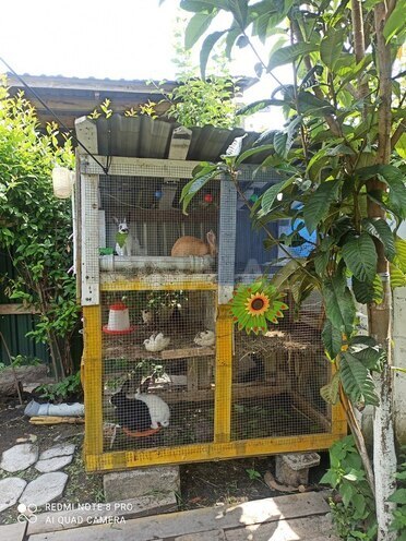 3 otaqlı həyət evi/bağ evi - Qax - 110 m² (16)
