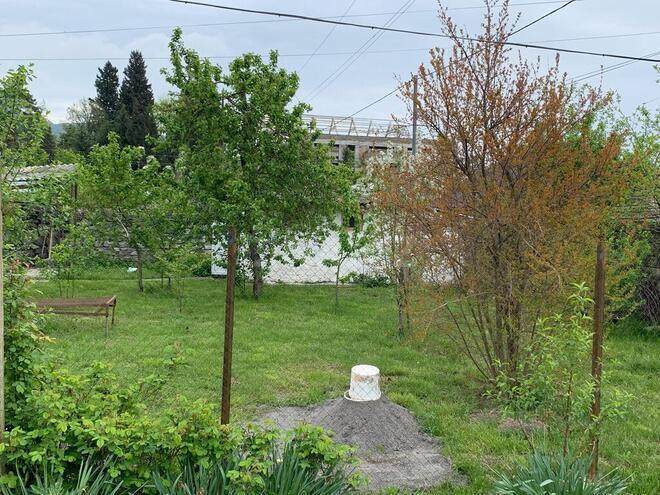 4 otaqlı həyət evi/bağ evi - Oğuz - 170 m² (1)