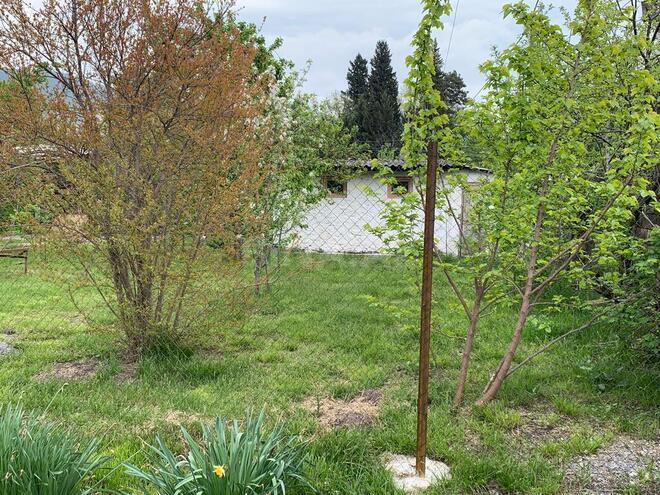 4 otaqlı həyət evi/bağ evi - Oğuz - 170 m² (19)