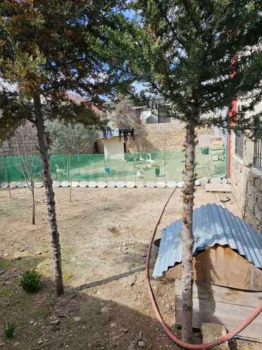 4 otaqlı həyət evi/bağ evi - Binə q. - 120 m² (10)