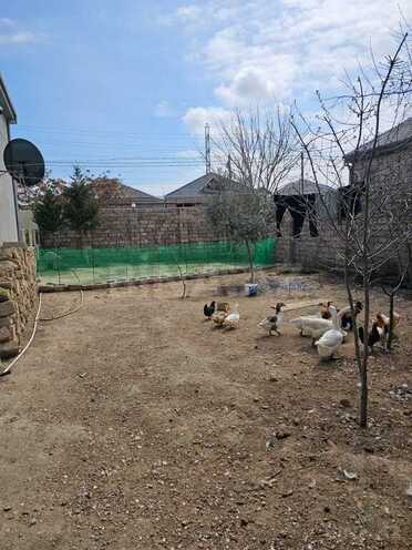 4 otaqlı həyət evi/bağ evi - Binə q. - 120 m² (18)