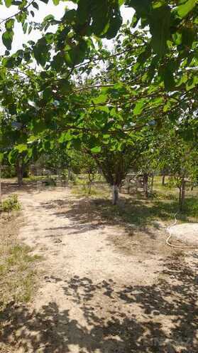4 otaqlı həyət evi/bağ evi - Saray q. - 180 m² (10)