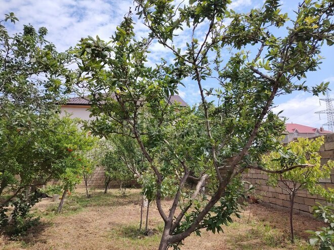 4 otaqlı həyət evi/bağ evi - Saray q. - 180 m² (12)