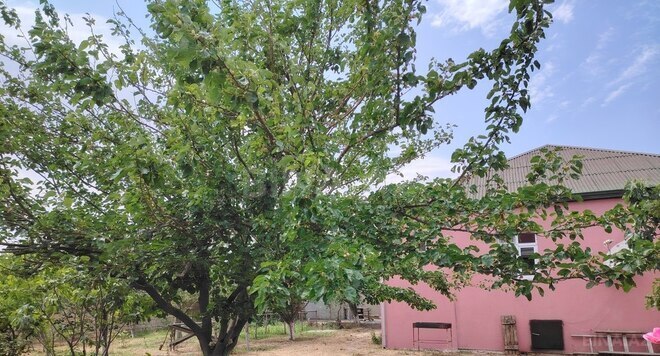 4 otaqlı həyət evi/bağ evi - Saray q. - 180 m² (7)