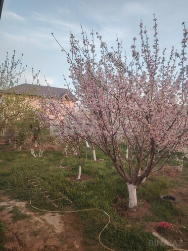 4 otaqlı həyət evi/bağ evi - Saray q. - 180 m² (2)