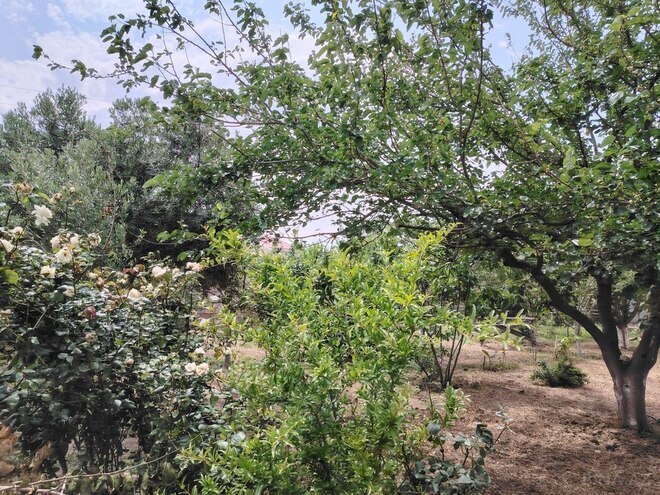 4 otaqlı həyət evi/bağ evi - Saray q. - 180 m² (3)
