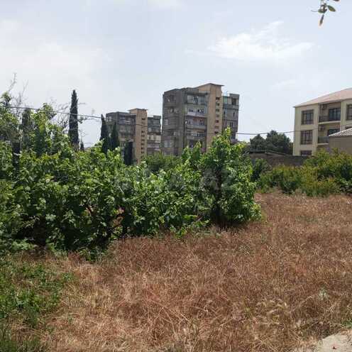Satılır  torpaq 16 sot, Suraxanı r., photo 5 from 13