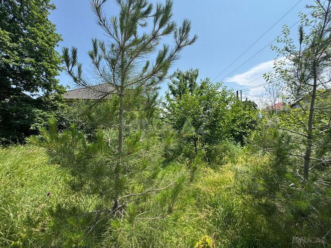 8 otaqlı həyət evi/bağ evi - Qusar - 300 m² (17)