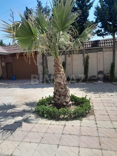 5 otaqlı həyət evi/bağ evi - Mərdəkan q. - 300 m² (5)