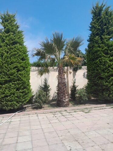 5 otaqlı həyət evi/bağ evi - Mərdəkan q. - 300 m² (4)