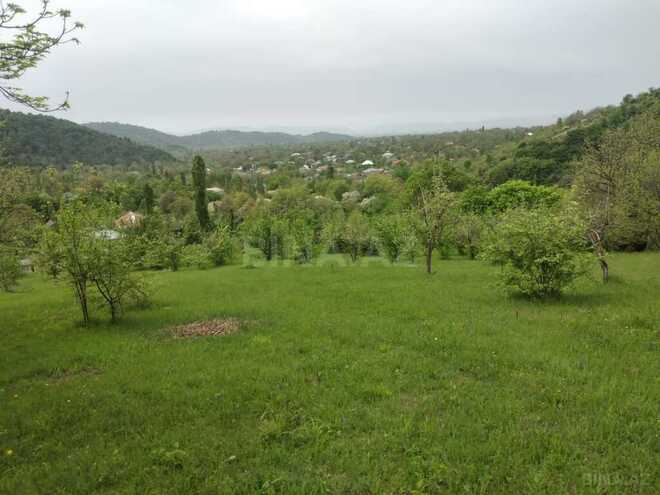 Satılır  torpaq 50 sot, photo 1 from 6