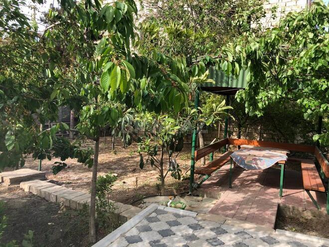 5 otaqlı həyət evi/bağ evi - Xəzər r. - 300 m² (10)
