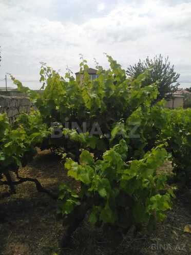 Satılır  torpaq 12 sot, Nardaran q., photo 5 from 10