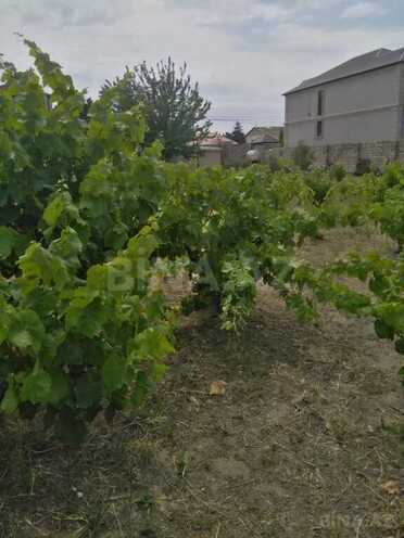 Satılır  torpaq 12 sot, Nardaran q., photo 6 from 10