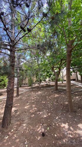 3 otaqlı həyət evi/bağ evi - Pirşağı q. - 170 m² (16)