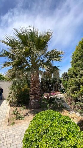 3 otaqlı həyət evi/bağ evi - Pirşağı q. - 170 m² (10)