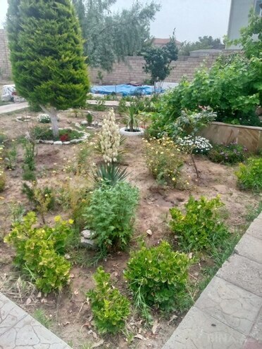 3 otaqlı həyət evi/bağ evi - Mərdəkan q. - 100 m² (5)