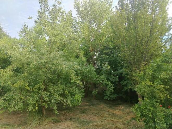 8-комн. дом/дача - Уджар - 281 м² (10)