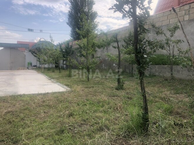 4 otaqlı həyət evi/bağ evi - Qəbələ - 120 m² (18)