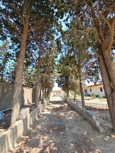 8 otaqlı həyət evi/bağ evi - Görədil q. - 400 m² (10)