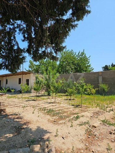 8 otaqlı həyət evi/bağ evi - Görədil q. - 400 m² (12)