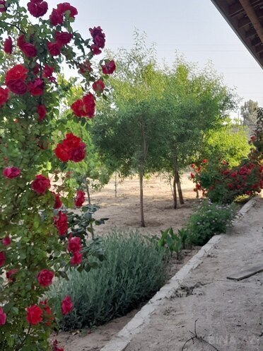 5 otaqlı həyət evi/bağ evi - Şüvəlan q. - 200 m² (20)