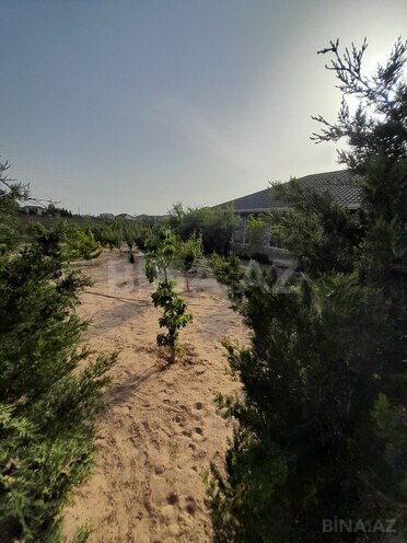 5 otaqlı həyət evi/bağ evi - Şüvəlan q. - 200 m² (7)