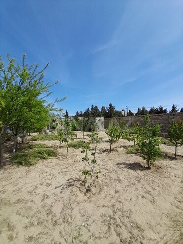 5 otaqlı həyət evi/bağ evi - Şüvəlan q. - 200 m² (5)