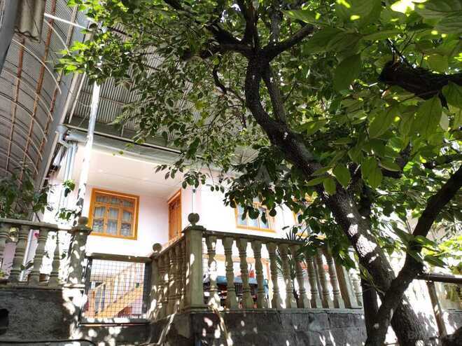 5 otaqlı həyət evi/bağ evi - Göygöl - 100 m² (8)