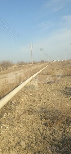 Участок - Гаджигабул - 1200 сот (1)