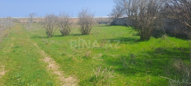 Участок - пос. Зире - 20 сот (1)