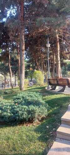 3-комн. вторичка - м. Низами - 80 м² (3)