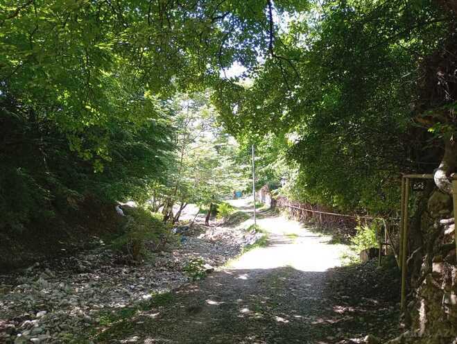4 otaqlı həyət evi/bağ evi - Şəki - 100 m² (3)