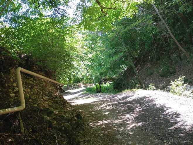 4 otaqlı həyət evi/bağ evi - Şəki - 100 m² (8)