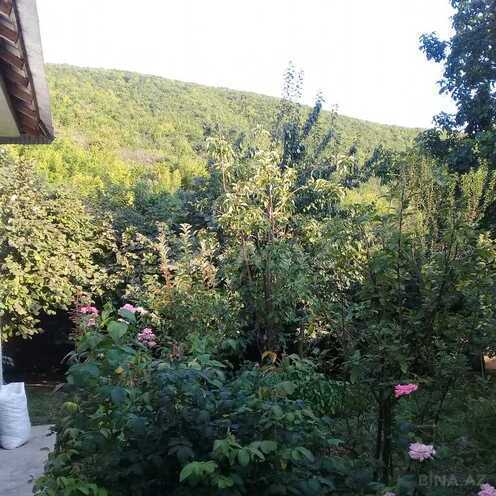4 otaqlı həyət evi/bağ evi - Şəki - 100 m² (9)