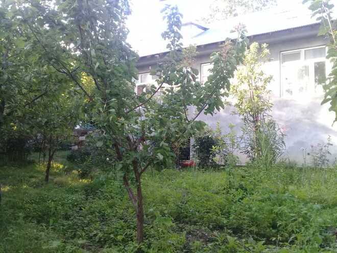 4 otaqlı həyət evi/bağ evi - Şəki - 100 m² (23)