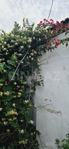4 otaqlı həyət evi/bağ evi - Lökbatan q. - 110 m² (10)