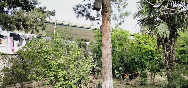 4 otaqlı həyət evi/bağ evi - Lökbatan q. - 110 m² (23)