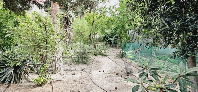 4 otaqlı həyət evi/bağ evi - Lökbatan q. - 110 m² (25)