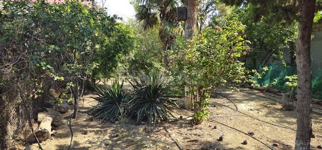 4 otaqlı həyət evi/bağ evi - Lökbatan q. - 110 m² (6)