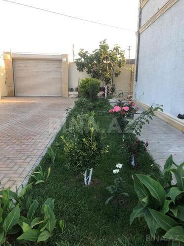 6 otaqlı həyət evi/bağ evi - Görədil q. - 300 m² (13)