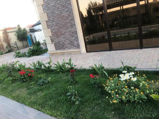 6 otaqlı həyət evi/bağ evi - Görədil q. - 300 m² (25)