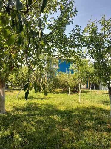 3 otaqlı həyət evi/bağ evi - İsmayıllı - 100 m² (3)