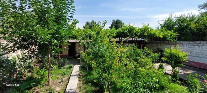 7 otaqlı həyət evi/bağ evi - Yevlax - 150 m² (11)